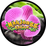 Mahjongg Relax (H5)