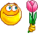 :Tulip: