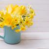 Marigold