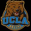 Bruin