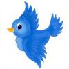 Bluebird